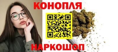 стаф Тула