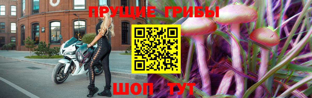 Донской  Галлюциногенные грибы Psilocybe  как найти закладки  Вход с VPN  Галлюциногенные грибы ЛСД 